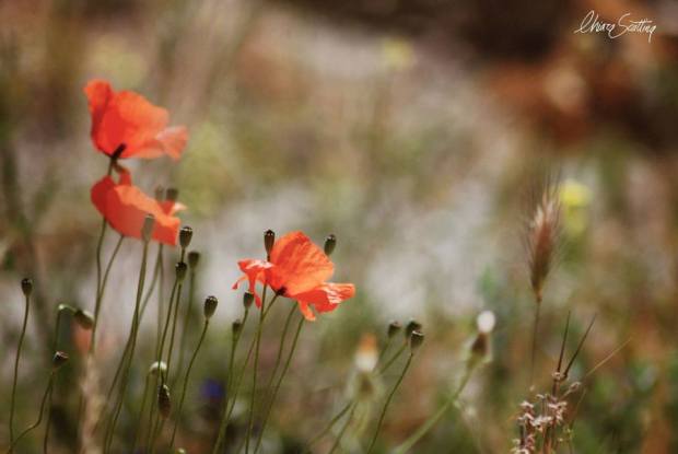 58239_10201044237502399_1219936527_n