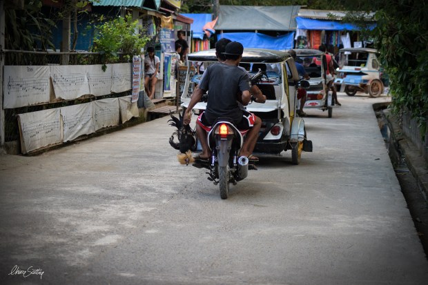 trasporti_chiarascattina0017