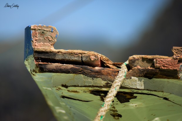 trasporti_chiarascattina0788