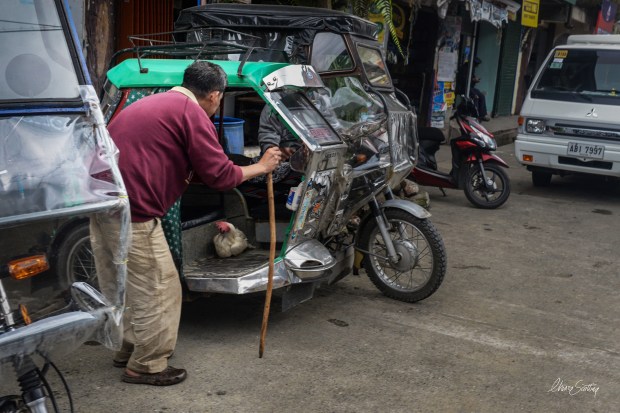 trasporti_chiarascattina2157