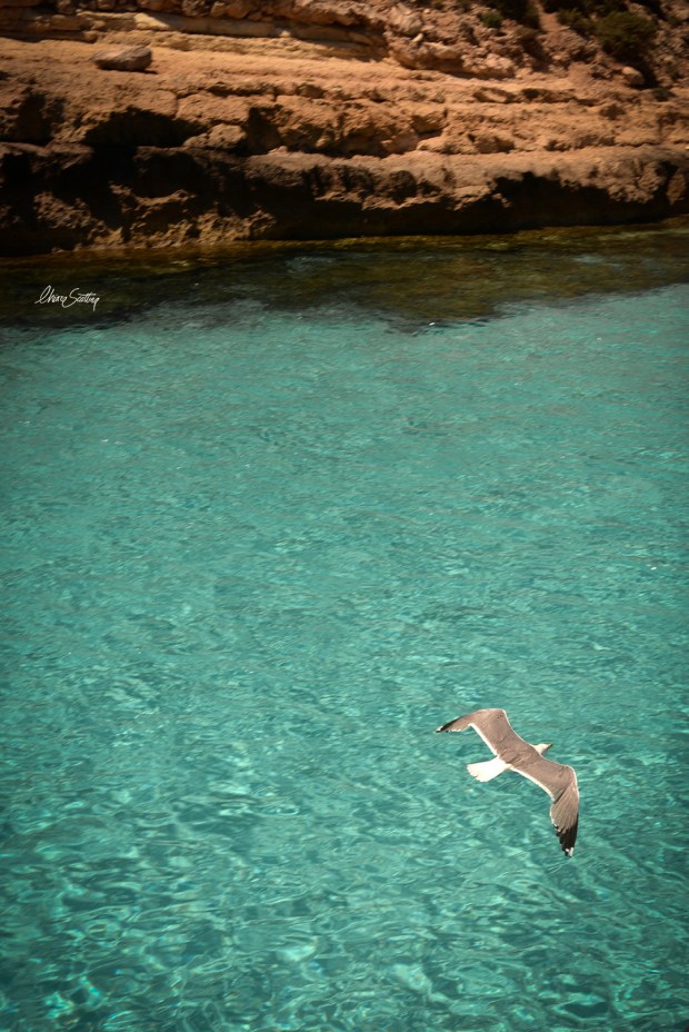 Lampedusa29_chiarascattina