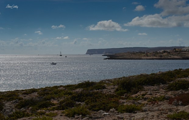 Lampedusa30_chiarascattina