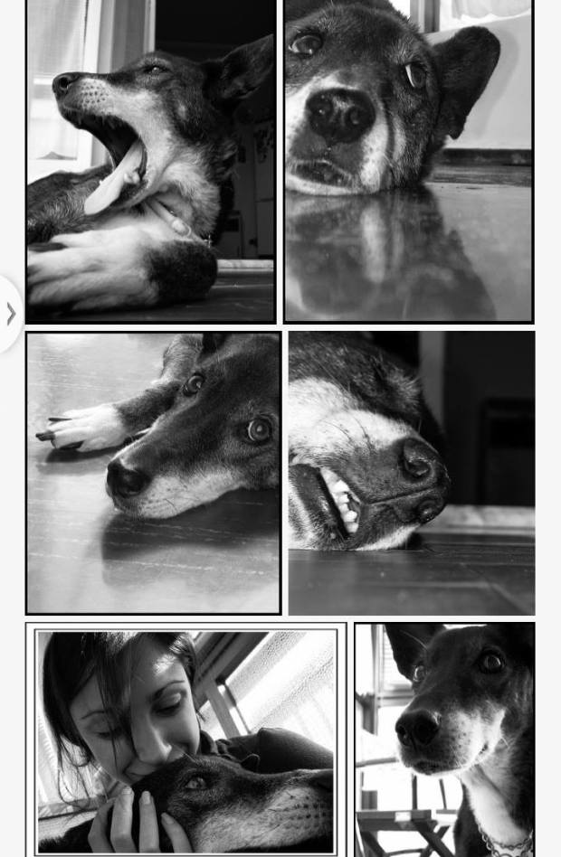 14315681_10209292513064133_1571667453_o