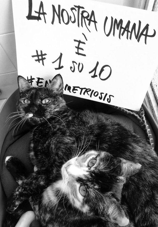 #1su10_chiarascattina