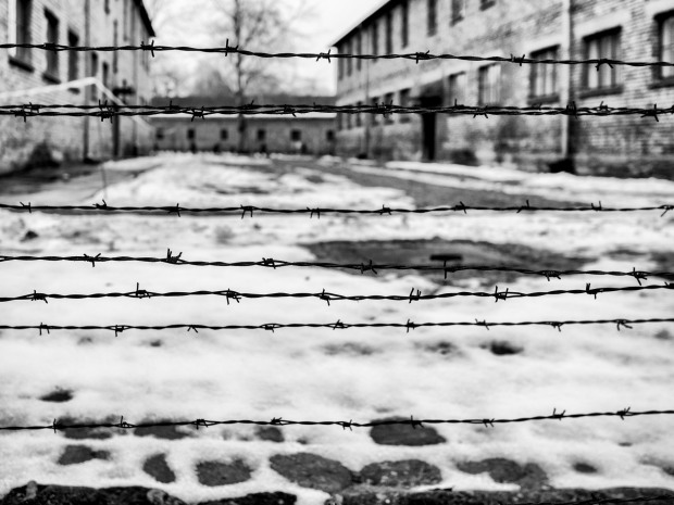#olocausto-19_ ©chiarascattina
