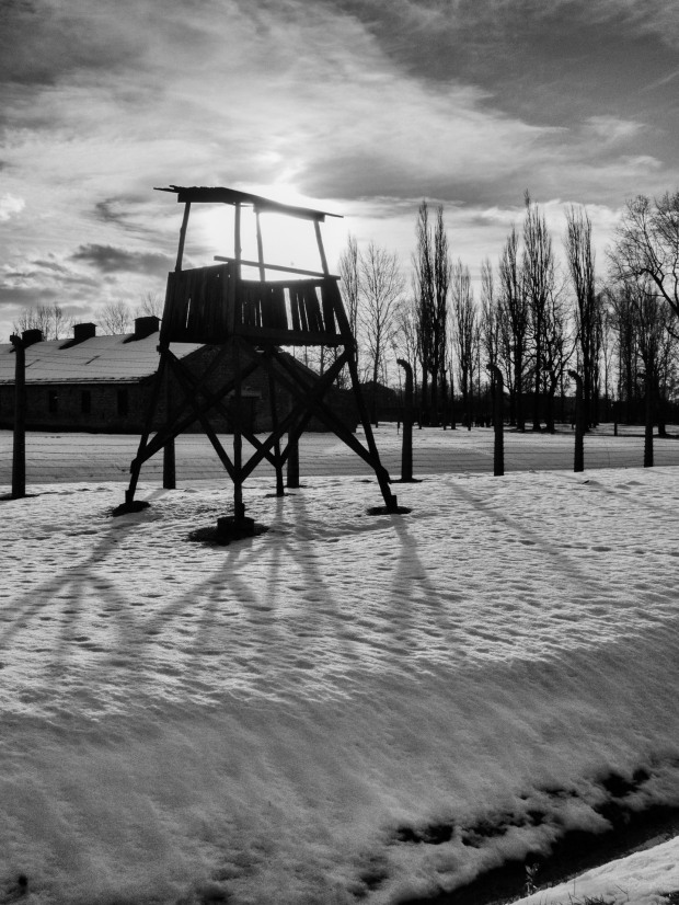 #olocausto-29_ ©chiarascattina